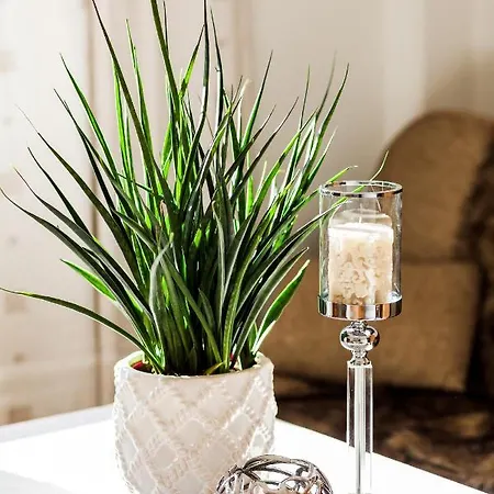 Z Widokiem Na Morze Apartman *