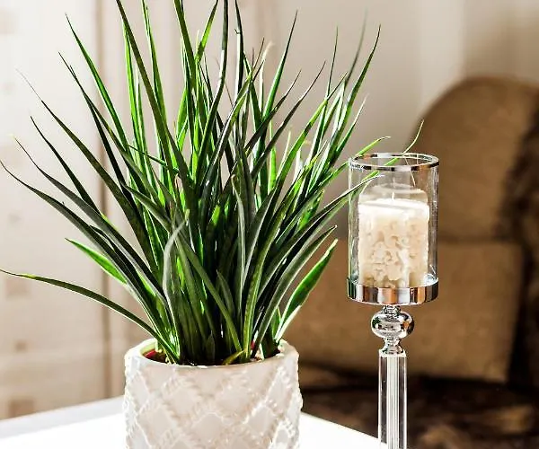 Z Widokiem Na Morze Appartement *